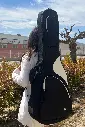 Funda guitarra 49.webp