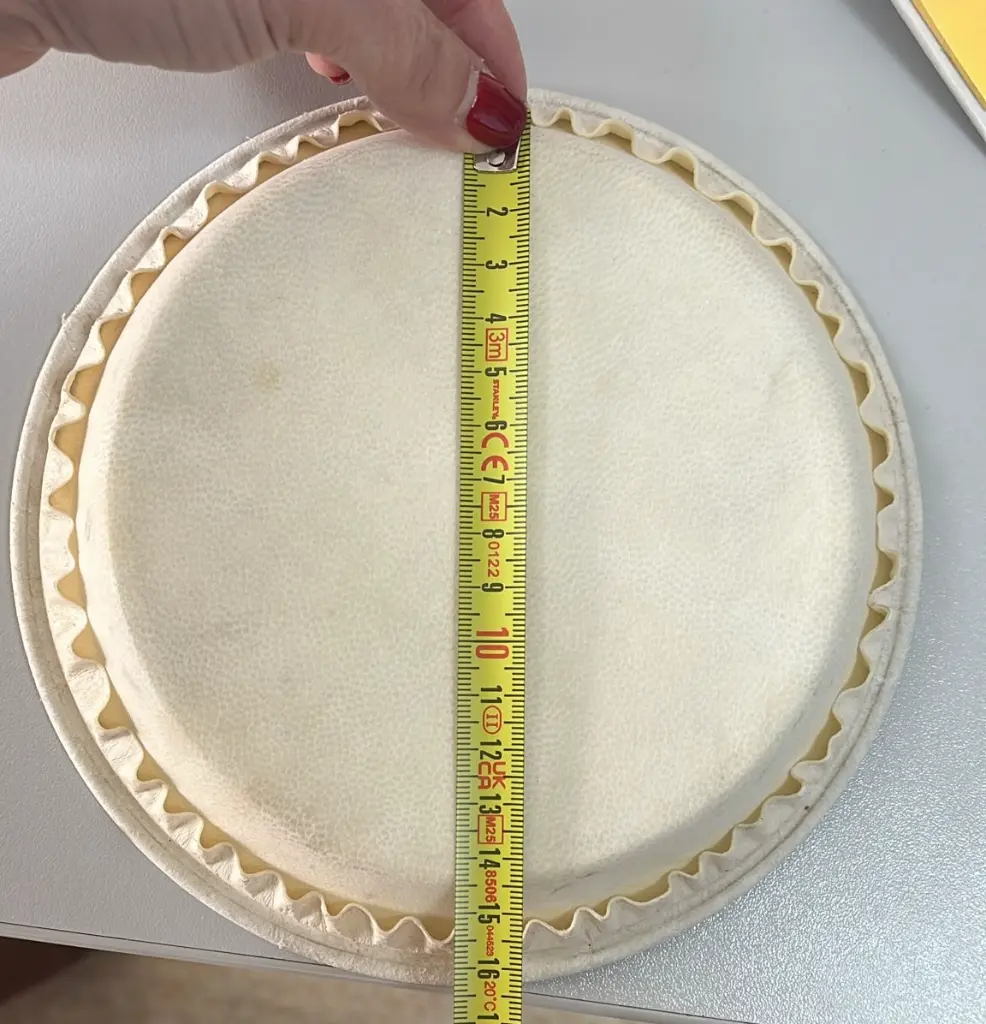 Parche bongo 6 (1).webp