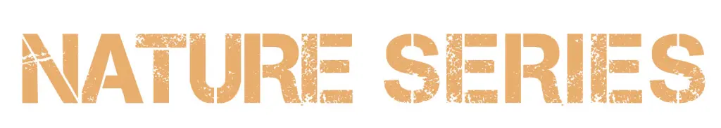 Nature Series - log.webp