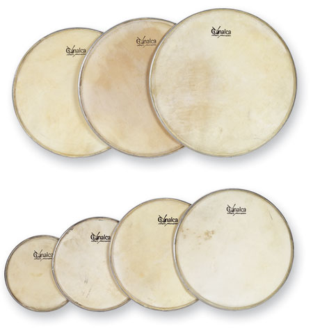 Skin Drumhead C/ Arillo 38 Cm Ref. 08760