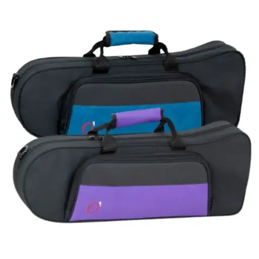 [6469] Trumpet case ref. 8460 fsh shaped